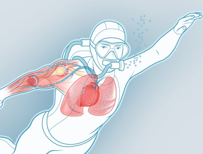 Medical Illustrations